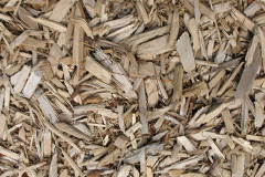 biomass boilers Denio