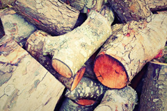Denio wood burning boiler costs